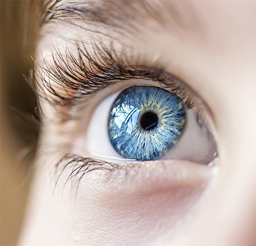 analyses d'iridologie