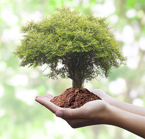 Préparer son microbiote avant l'hiver