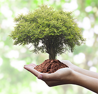 les-bienfaits de la-naturopathie